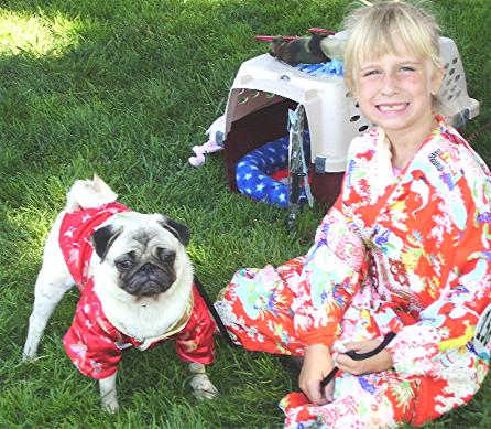 pug free to home glasgow quot n pugs quot pug free to home glasgow quot n pugs quot